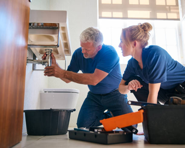 Best Clogged Drain Plumber  in Carrington, ND